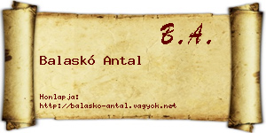 Balaskó Antal névjegykártya